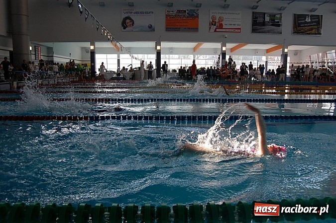 Zdjęcie w galerii na portalu naszraciborz.pl: Międzyszkolne Mistrzostwa Szkół Sportowych w H2Ostróg zakończone. Sukcesy młodych pływaków z raciborskich szkół  wiadomości z regionu