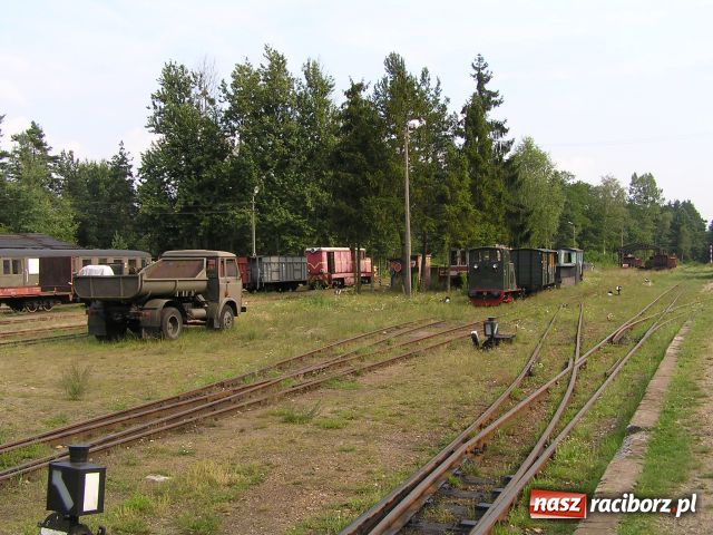 Zdjęcie w galerii na portalu naszraciborz.pl: Renesans kolejki wąskotorowej w Rudach wiadomości z regionu