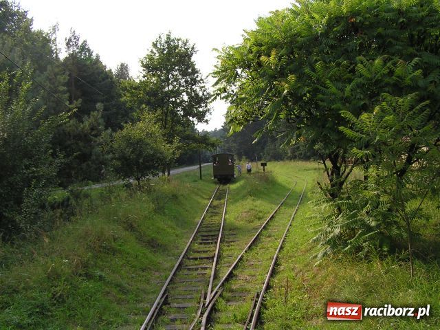 Zdjęcie w galerii na portalu naszraciborz.pl: Renesans kolejki wąskotorowej w Rudach wiadomości z regionu