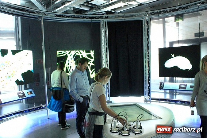 Zdjęcie w galerii na portalu naszraciborz.pl: Uczniowie z Krzanowic zwiedzili Centrum Nauki Kopernik wiadomości z regionu