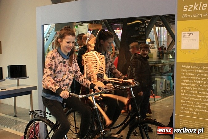 Zdjęcie w galerii na portalu naszraciborz.pl: Uczniowie z Krzanowic zwiedzili Centrum Nauki Kopernik wiadomości z regionu