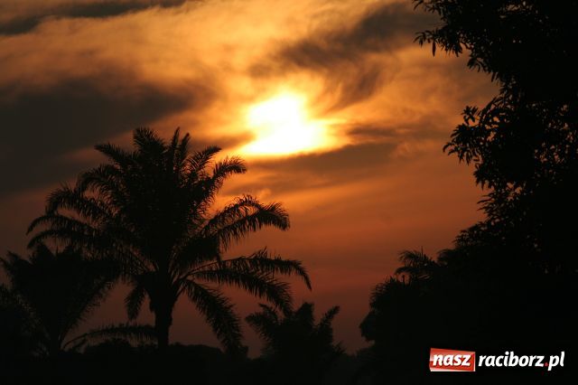 Zdjęcie w galerii na portalu naszraciborz.pl: U siebie czyli w Kongo... wiadomości z regionu