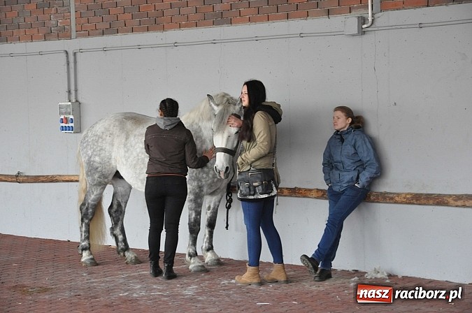 Zdjęcie w galerii na portalu naszraciborz.pl: Targ koński z giełdą warzyw, kwiatów, sadzonek i staroci wiadomości z regionu