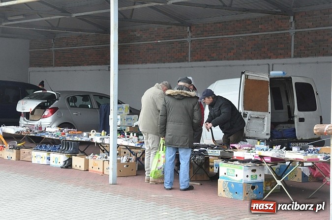 Zdjęcie w galerii na portalu naszraciborz.pl: Targ koński z giełdą warzyw, kwiatów, sadzonek i staroci wiadomości z regionu