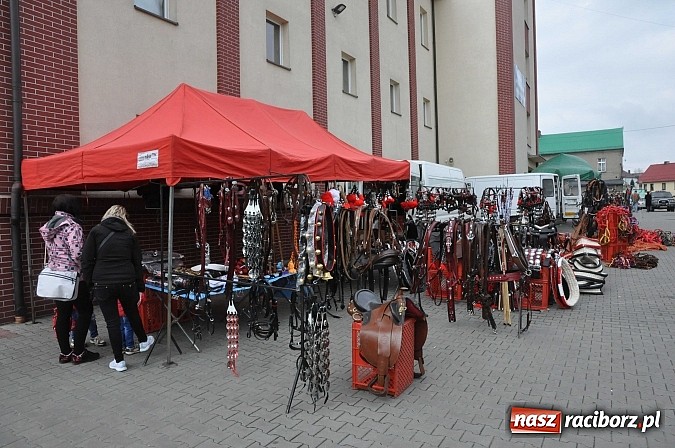 Zdjęcie w galerii na portalu naszraciborz.pl: Targ koński z giełdą warzyw, kwiatów, sadzonek i staroci wiadomości z regionu