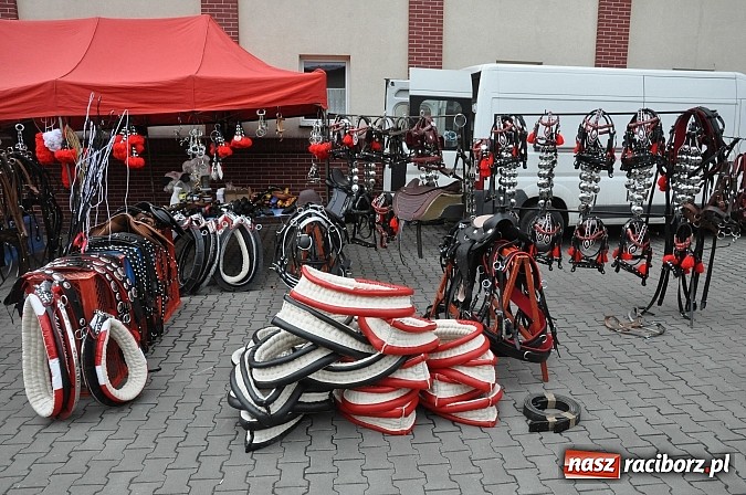 Zdjęcie w galerii na portalu naszraciborz.pl: Targ koński z giełdą warzyw, kwiatów, sadzonek i staroci wiadomości z regionu