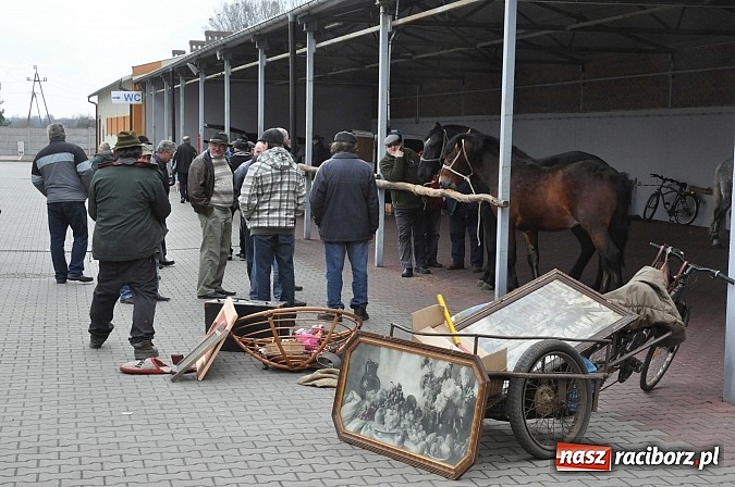 Zdjęcie w galerii na portalu naszraciborz.pl: Targ koński z giełdą warzyw, kwiatów, sadzonek i staroci wiadomości z regionu