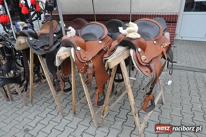Zdjęcie w galerii na portalu naszraciborz.pl: Targ koński z giełdą warzyw, kwiatów, sadzonek i staroci wiadomości z regionu