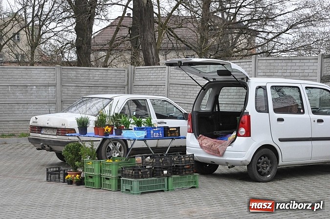 Zdjęcie w galerii na portalu naszraciborz.pl: Targ koński z giełdą warzyw, kwiatów, sadzonek i staroci wiadomości z regionu