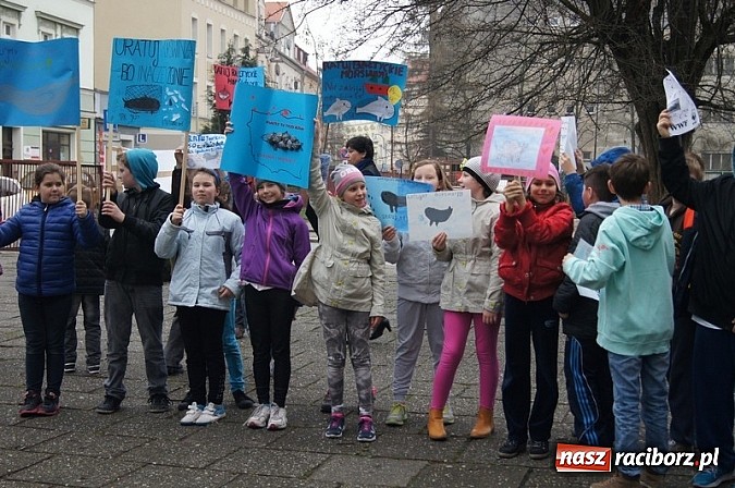 Zdjęcie w galerii na portalu naszraciborz.pl: Godzina dla Ziemi w SP 4 wiadomości z regionu