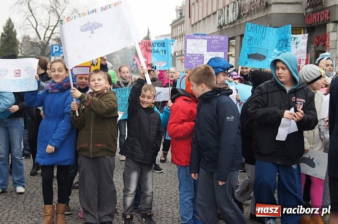 Zdjęcie w galerii na portalu naszraciborz.pl: Godzina dla Ziemi w SP 4 wiadomości z regionu