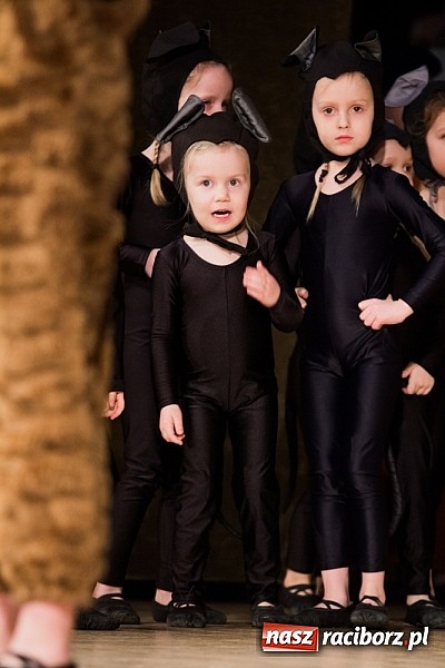 Zdjęcie w galerii na portalu naszraciborz.pl: Koncert charytatywny na rzecz Kacpra Sucheckiego. Udało się zebrać ponad 6 tys. zł. wiadomości z regionu