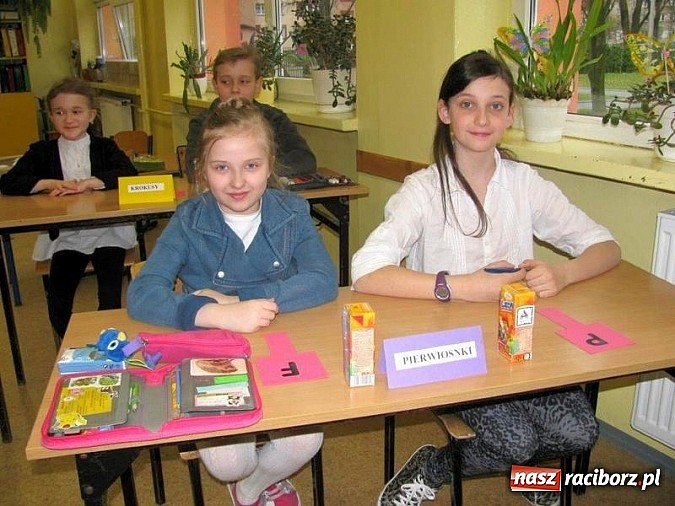 Zdjęcie w galerii na portalu naszraciborz.pl: Ekologiczna rywalizacja w SP 15 wiadomości z regionu