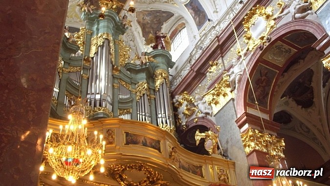 Zdjęcie w galerii na portalu naszraciborz.pl: Organista z Markowic wziął udział w pielgrzymce muzyków kościelnych wiadomości z regionu
