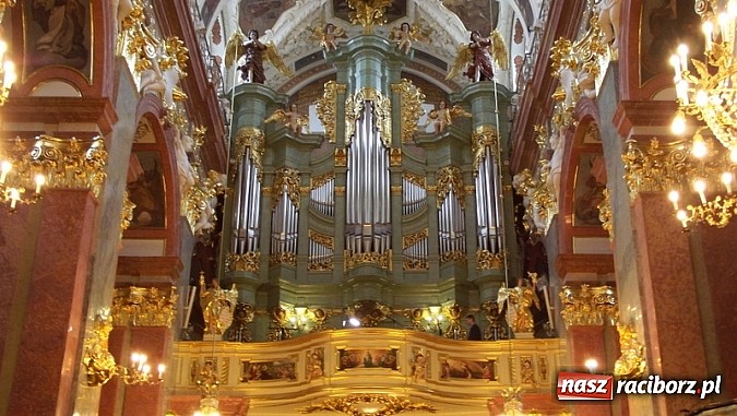 Zdjęcie w galerii na portalu naszraciborz.pl: Organista z Markowic wziął udział w pielgrzymce muzyków kościelnych wiadomości z regionu