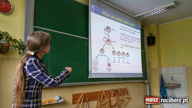 Zdjęcie w galerii na portalu naszraciborz.pl: Wspólny projekt Uniwersytetu Jagiellońskiego i II LO w Raciborzu wiadomości z regionu