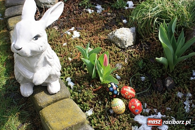 Zdjęcie w galerii na portalu naszraciborz.pl: Najładniejsze pisanki w gminie Krzanowice wiadomości z regionu