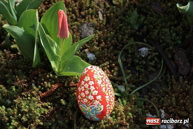 Zdjęcie w galerii na portalu naszraciborz.pl: Najładniejsze pisanki w gminie Krzanowice wiadomości z regionu