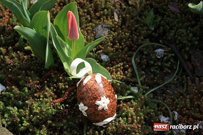 Zdjęcie w galerii na portalu naszraciborz.pl: Najładniejsze pisanki w gminie Krzanowice wiadomości z regionu