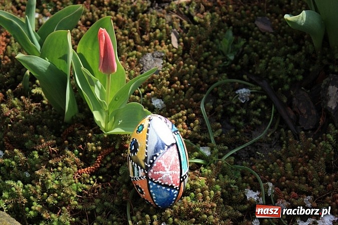 Zdjęcie w galerii na portalu naszraciborz.pl: Najładniejsze pisanki w gminie Krzanowice wiadomości z regionu