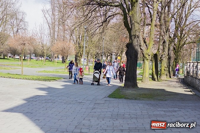 Zdjęcie w galerii na portalu naszraciborz.pl: Groby Pańskie w raciborskich kościołach wiadomości z regionu
