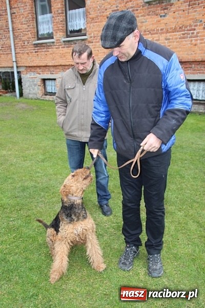 Zdjęcie w galerii na portalu naszraciborz.pl: Wielkanoc w farskich ogrodach wiadomości z regionu