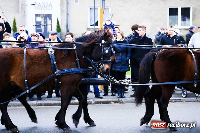 Zdjęcie w galerii na portalu naszraciborz.pl: W Pietrowicach Wielkich procesja szła chwilami w zamieci śnieżnej wiadomości z regionu