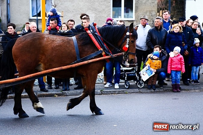 Zdjęcie w galerii na portalu naszraciborz.pl: W Pietrowicach Wielkich procesja szła chwilami w zamieci śnieżnej wiadomości z regionu