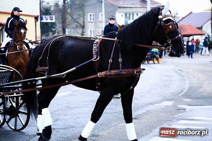 Zdjęcie w galerii na portalu naszraciborz.pl: W Pietrowicach Wielkich procesja szła chwilami w zamieci śnieżnej wiadomości z regionu