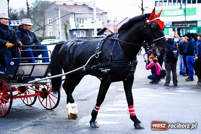 Zdjęcie w galerii na portalu naszraciborz.pl: W Pietrowicach Wielkich procesja szła chwilami w zamieci śnieżnej wiadomości z regionu