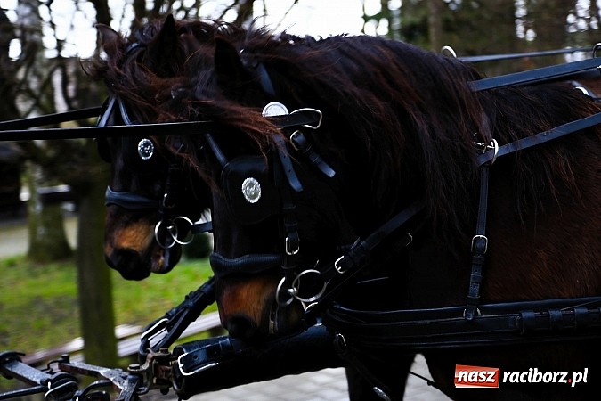 Zdjęcie w galerii na portalu naszraciborz.pl: W Pietrowicach Wielkich procesja szła chwilami w zamieci śnieżnej wiadomości z regionu