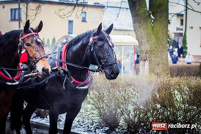Zdjęcie w galerii na portalu naszraciborz.pl: Biskup, starosta i prezydent na procesji w Sudole wiadomości z regionu