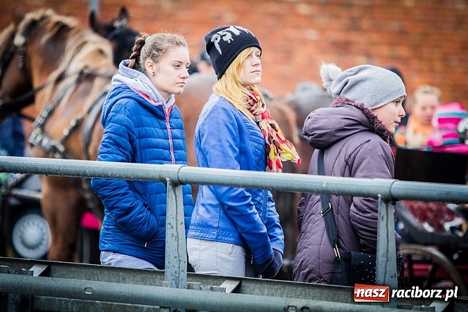 Zdjęcie w galerii na portalu naszraciborz.pl: Biskup, starosta i prezydent na procesji w Sudole wiadomości z regionu