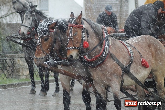 Zdjęcie w galerii na portalu naszraciborz.pl: Z okolicznych miejscowości na procesji w Zawadzie Ks. wiadomości z regionu