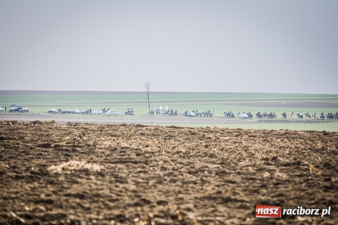 Zdjęcie w galerii na portalu naszraciborz.pl: Wyścigi konne na zakończenie procesji w Sudole wiadomości z regionu