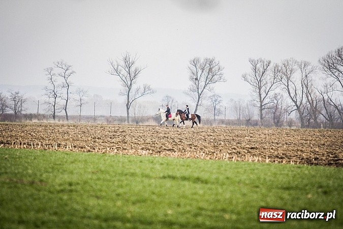 Zdjęcie w galerii na portalu naszraciborz.pl: Wyścigi konne na zakończenie procesji w Sudole wiadomości z regionu