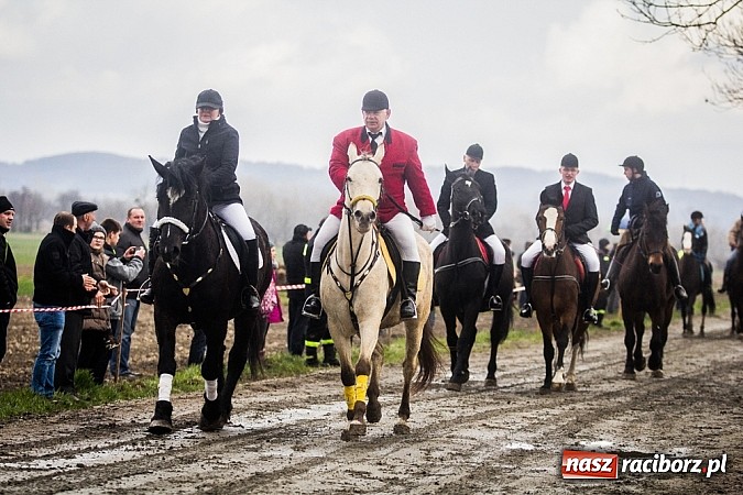 Zdjęcie w galerii na portalu naszraciborz.pl: Wyścigi konne na zakończenie procesji w Sudole wiadomości z regionu