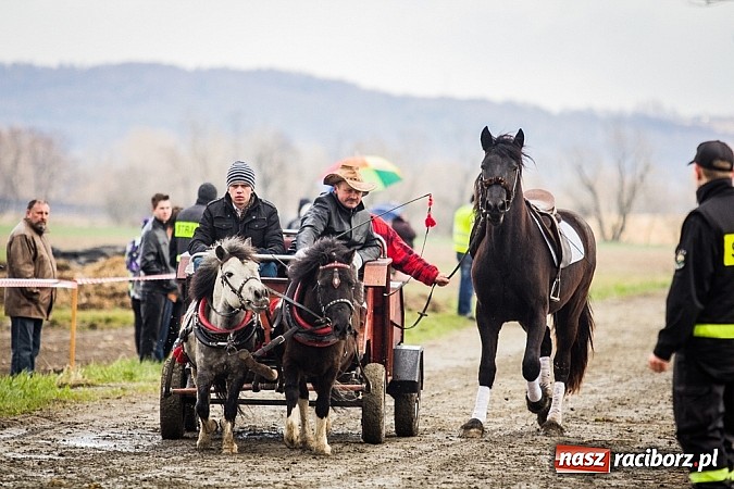 Zdjęcie w galerii na portalu naszraciborz.pl: Wyścigi konne na zakończenie procesji w Sudole wiadomości z regionu