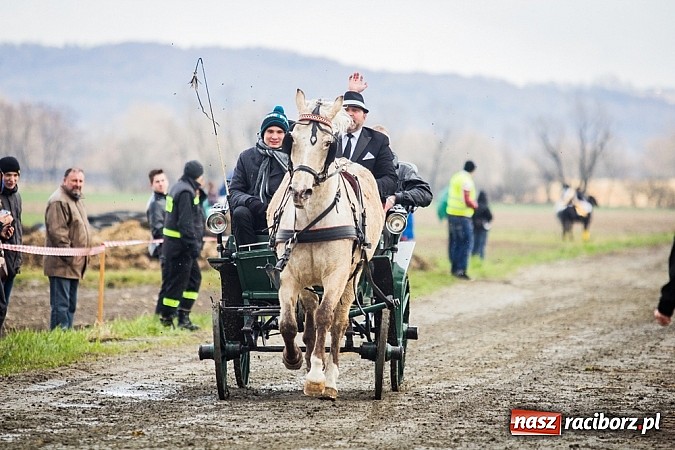 Zdjęcie w galerii na portalu naszraciborz.pl: Wyścigi konne na zakończenie procesji w Sudole wiadomości z regionu