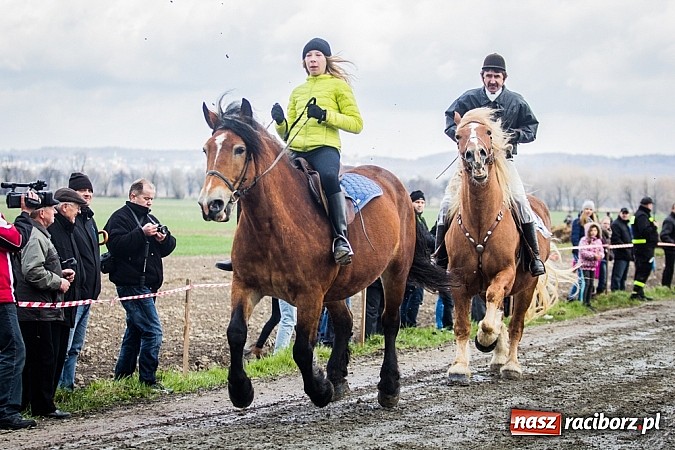 Zdjęcie w galerii na portalu naszraciborz.pl: Wyścigi konne na zakończenie procesji w Sudole wiadomości z regionu