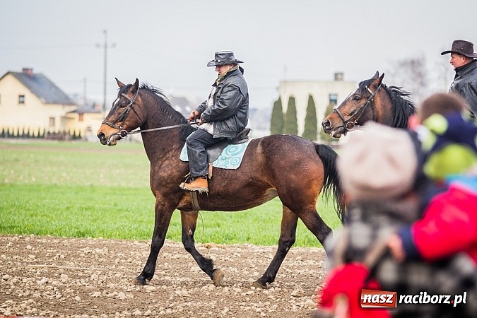 Zdjęcie w galerii na portalu naszraciborz.pl: Wyścigi konne na zakończenie procesji w Sudole wiadomości z regionu