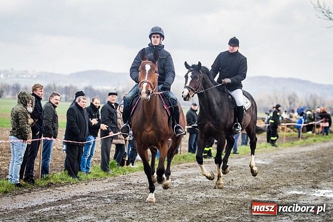 Zdjęcie w galerii na portalu naszraciborz.pl: Wyścigi konne na zakończenie procesji w Sudole wiadomości z regionu