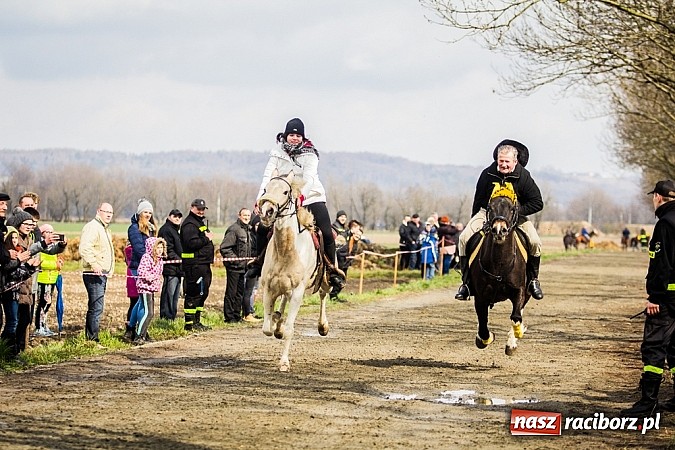 Zdjęcie w galerii na portalu naszraciborz.pl: Wyścigi konne na zakończenie procesji w Sudole wiadomości z regionu