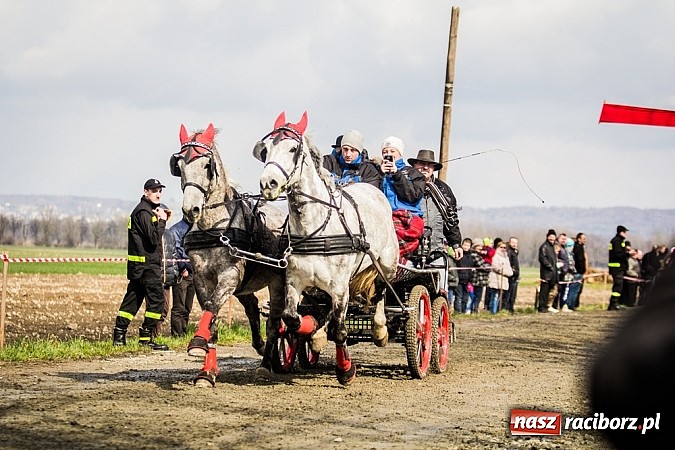 Zdjęcie w galerii na portalu naszraciborz.pl: Wyścigi konne na zakończenie procesji w Sudole wiadomości z regionu