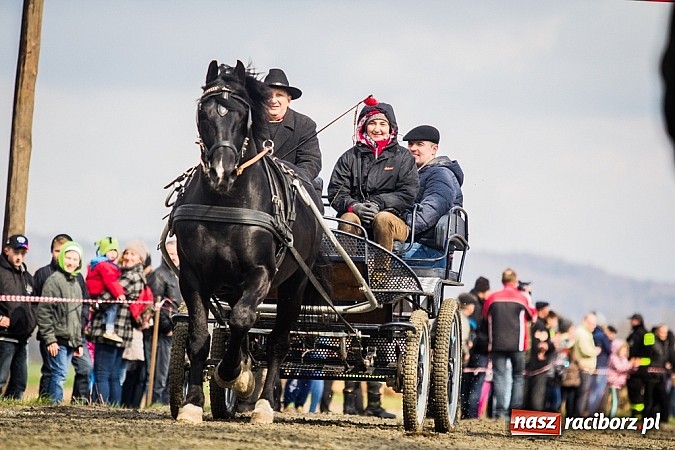 Zdjęcie w galerii na portalu naszraciborz.pl: Wyścigi konne na zakończenie procesji w Sudole wiadomości z regionu