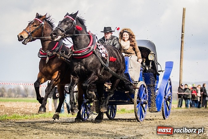 Zdjęcie w galerii na portalu naszraciborz.pl: Wyścigi konne na zakończenie procesji w Sudole wiadomości z regionu