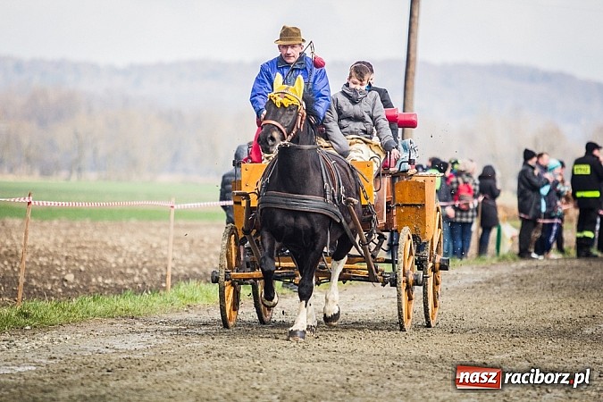 Zdjęcie w galerii na portalu naszraciborz.pl: Wyścigi konne na zakończenie procesji w Sudole wiadomości z regionu