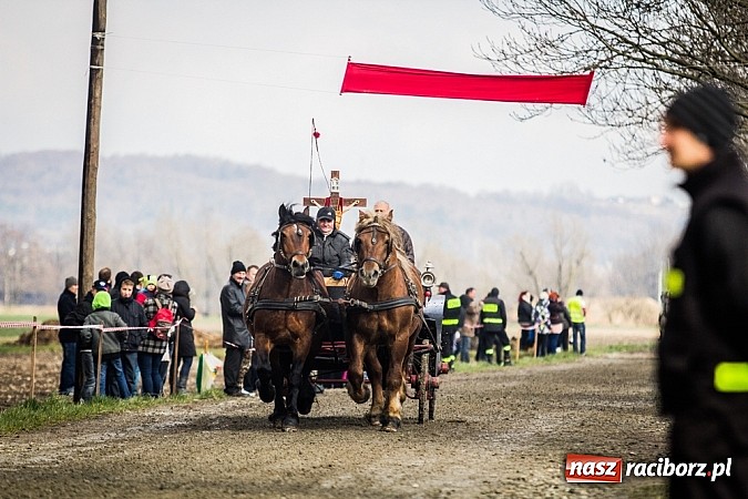 Zdjęcie w galerii na portalu naszraciborz.pl: Wyścigi konne na zakończenie procesji w Sudole wiadomości z regionu