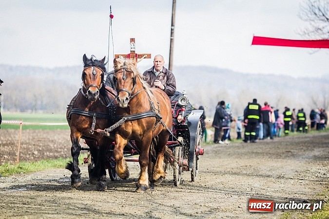 Zdjęcie w galerii na portalu naszraciborz.pl: Wyścigi konne na zakończenie procesji w Sudole wiadomości z regionu