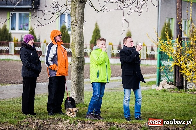 Zdjęcie w galerii na portalu naszraciborz.pl: Wyścigi konne na zakończenie procesji w Sudole wiadomości z regionu